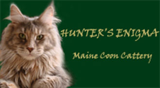 Hunters Enigma Maine Coons