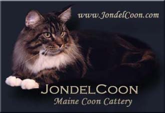 JondelCoon Maine Coons