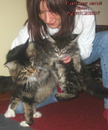 PanonHunters Maine Coons 2016