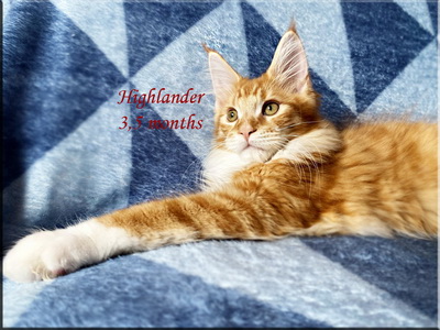 highlander35months