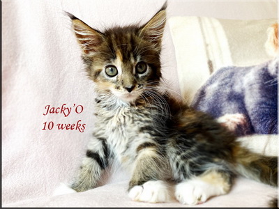 jacky010w
