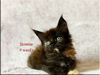 Jasmine9weeks