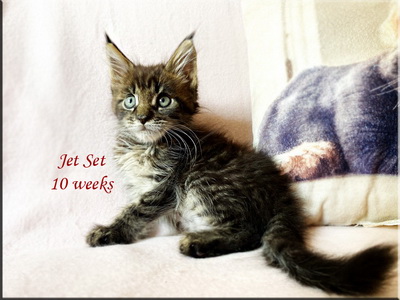 jetset10w