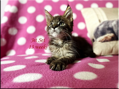 jetset13weeks