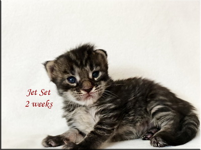 jetset2weeks