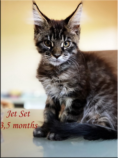 jetset35months