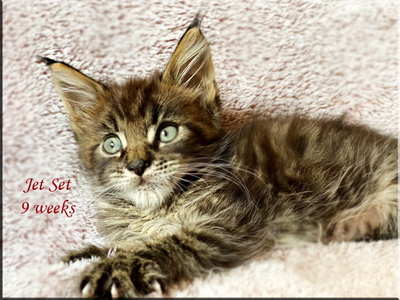 JetSet9weeks