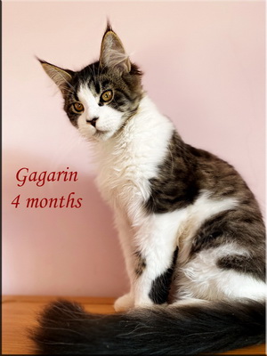 gagarin4months