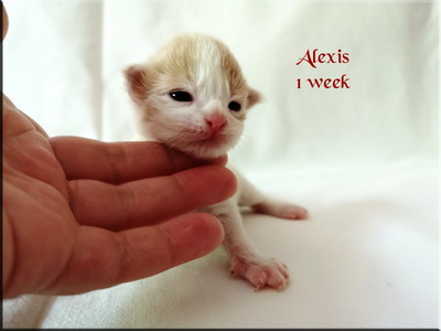 alexis1w