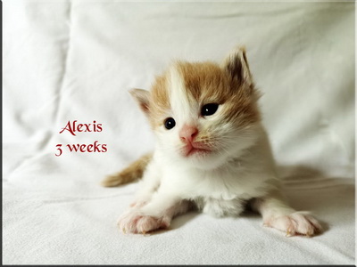 alexis3w