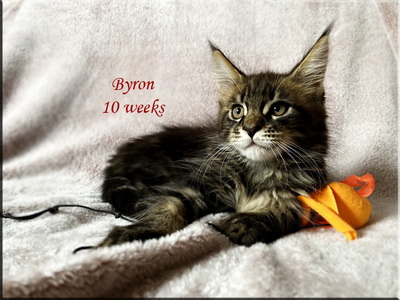 byron10weeks