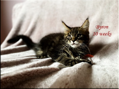 byron10weeks