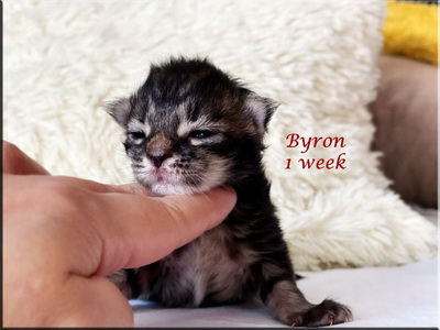 byron1w