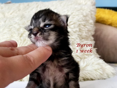 byron1w