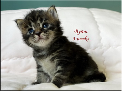 byron3weeks