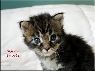 byron3weeks