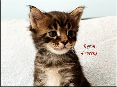 byron4w