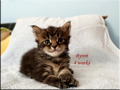 byron4w
