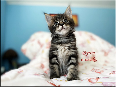 byron6w
