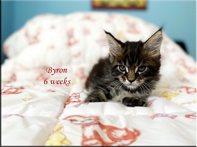 byron6w