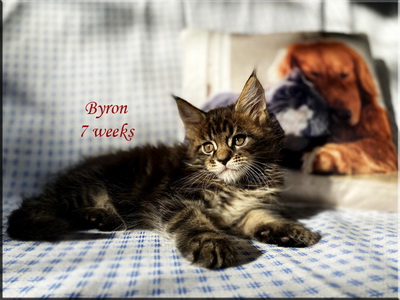 byron7w