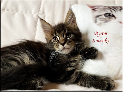 byron8weeks