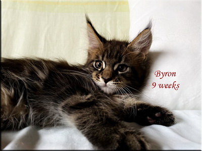 byron9weeks