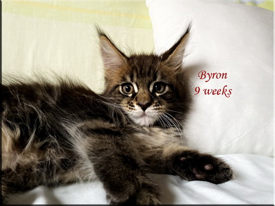 byron9weeks