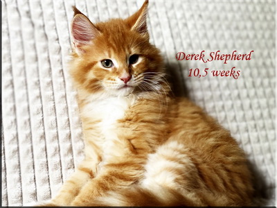 derekshepherd105weeks