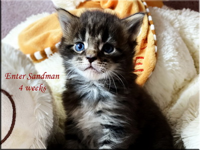entersandman4w