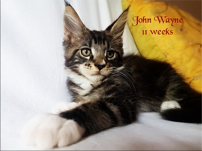 JohnWayne11
