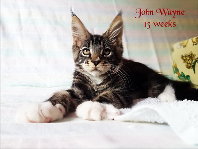 JohnWayne13