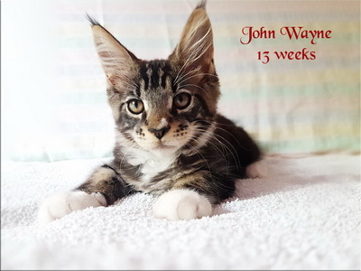 JohnWayne13