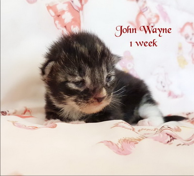 jwayne