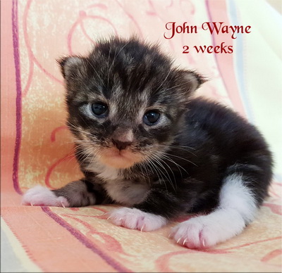 johnwayne2