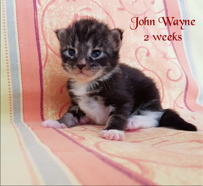 johnwayne2