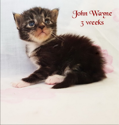 johnwayne3