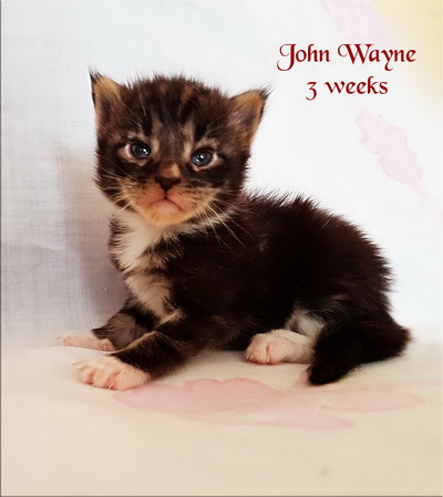johnwayne3