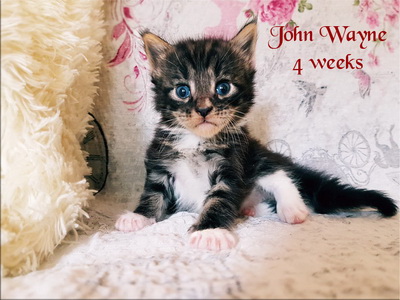 JohnWayne4