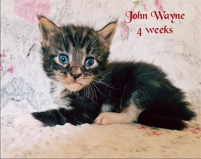 JohnWayne4