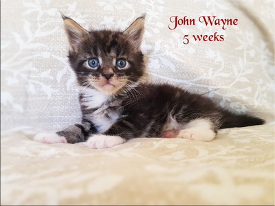 JohnWayne5