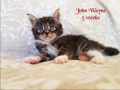 JohnWayne5