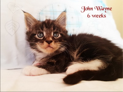 JohnWayne6