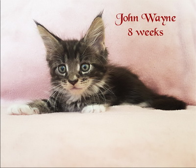 johnwayne8