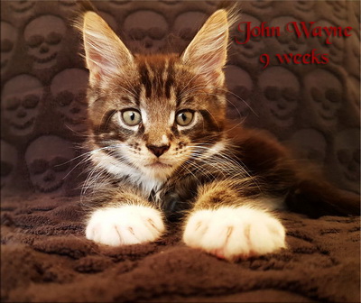 JohnWayne9