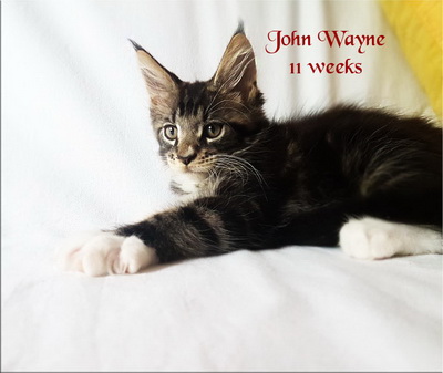 JohnWayne11