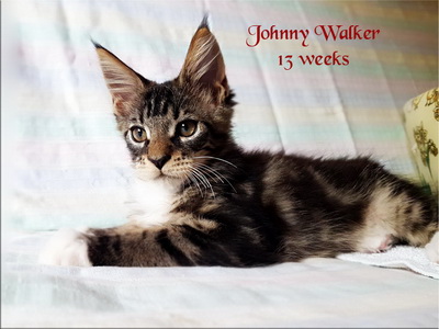 JohnnyWalker13