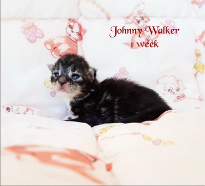 jwalker