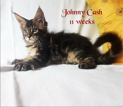 JohnnyCash11w