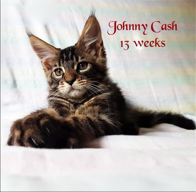 JohnnyCash13
